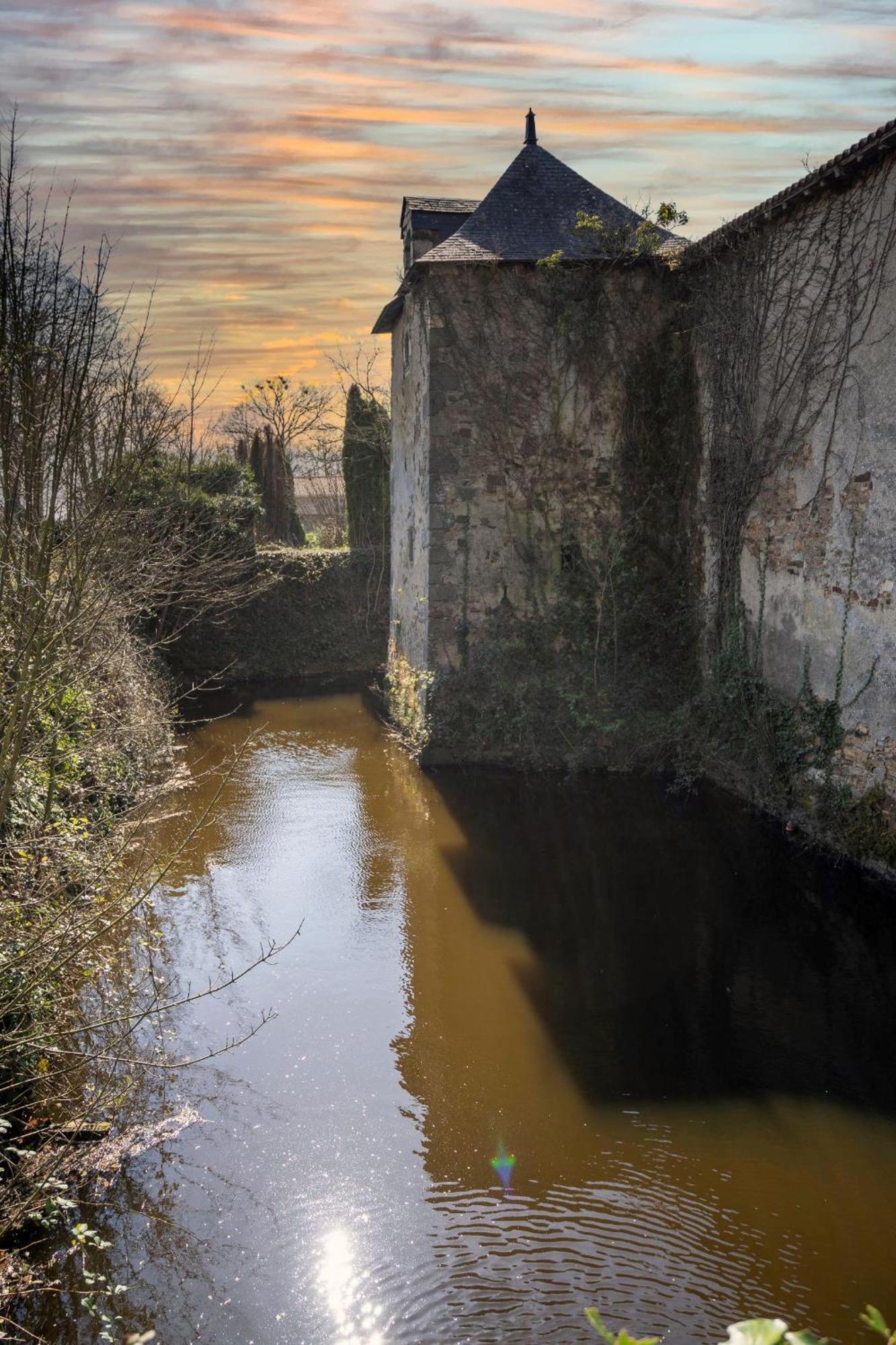 Chateau De La Tourlandry Chemille-en-Anjou Экстерьер фото
